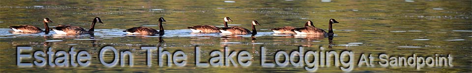 Title Banner, Lake View with row of Geese
