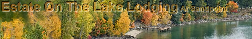 Banner- Fall Colors of Shoreline